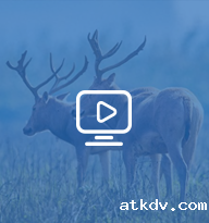 视听宁河 视听宁河